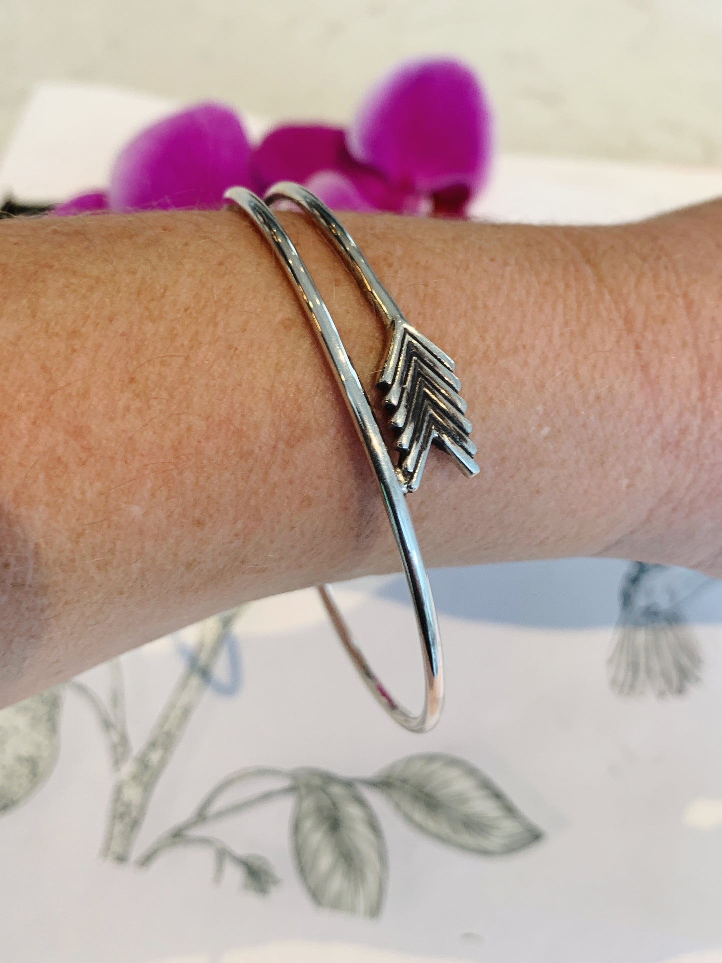 Silver arrow